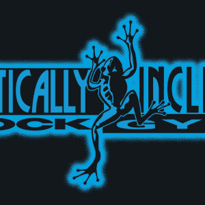Vertically Inclined Rock Gym logo