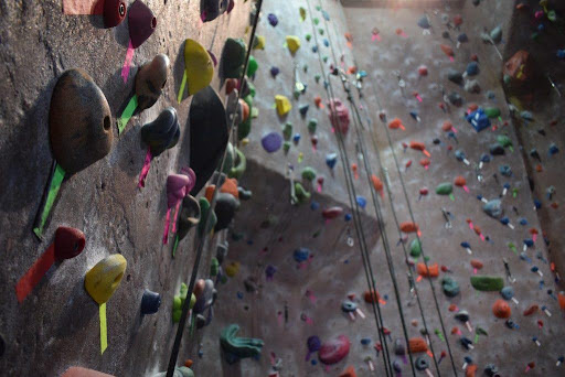 Gym Climbing Wall